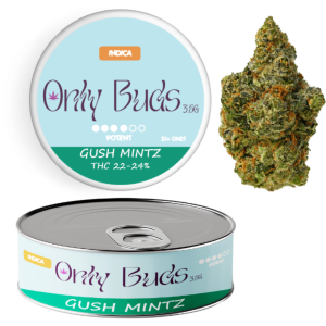 Gushmintz